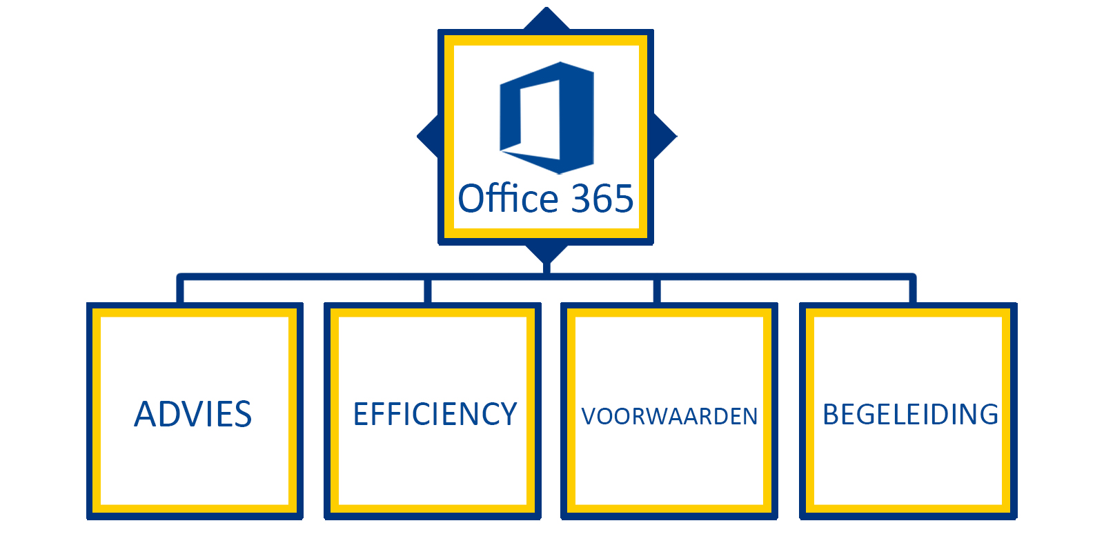 Totaal Advies bij het inrichten van uw Office 365